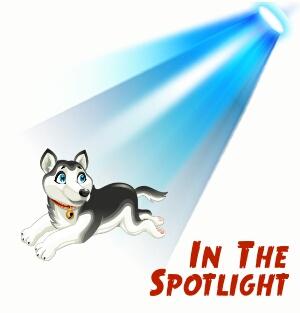 an in the spotlight gift